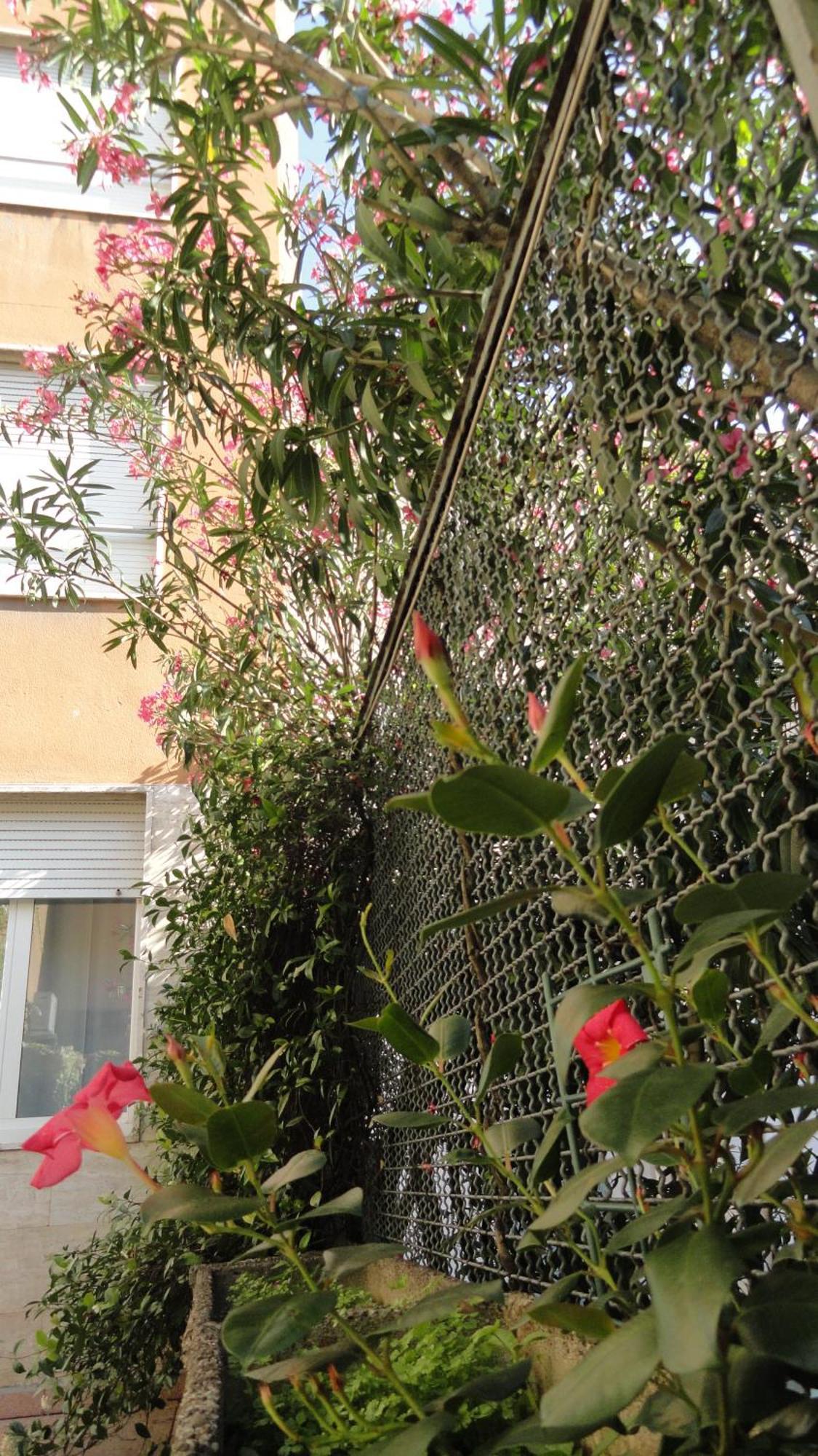 Residence Giusti 6 Milano Dış mekan fotoğraf